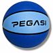 Pegasi basketbal maat 7 Sky