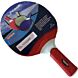 Pegasi outdoor tafeltennisbatje Red