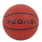 Pegasi basketbal maat 7