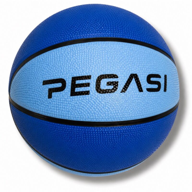 Pegasi basketbal maat 7 Sky