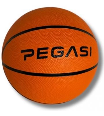 Pegasi basketbal maat 5 