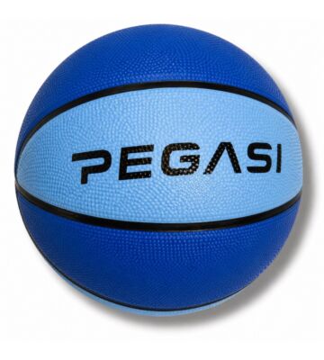 Pegasi basketbal maat 7 Sky