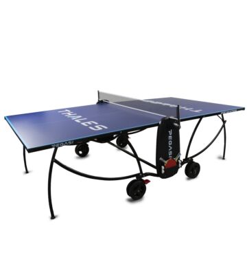 Bedrukte tafeltennistafel Pegasi 800 Indoor