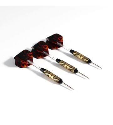 Pegasi dartpijlen set 25gr. Flames